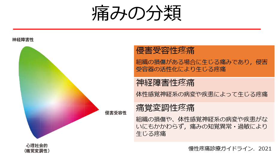 痛みとこころって関係があるの？ - がんになったら読んでほしい理学